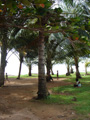 gal/04 - Kep/_thb_RIMG1994.jpg